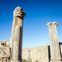 MAR FES Volubilis 2016DEC31 078 : 2016, 2016 - African Adventures, Africa, Date, December, Fès-Meknès, Month, Morocco, Northern, Places, Trips, Volubilis, Year