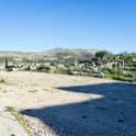 MAR FES Volubilis 2016DEC31 079 : 2016, 2016 - African Adventures, Africa, Date, December, Fès-Meknès, Month, Morocco, Northern, Places, Trips, Volubilis, Year