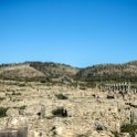 MAR FES Volubilis 2016DEC31 084 : 2016, 2016 - African Adventures, Africa, Date, December, Fès-Meknès, Month, Morocco, Northern, Places, Trips, Volubilis, Year
