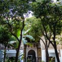 MAR MAR Marrakesh 2017JAN05 BahiaPalace 012 : 2016 - African Adventures, 2017, Africa, Bahia Palace, Date, January, Marrakesh, Marrakesh-Safi, Month, Morocco, Northern, Places, Trips, Year