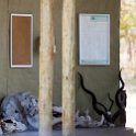 BWA NW Chobe 2016DEC04 NP 003 : 2016, 2016 - African Adventures, Africa, Botswana, Chobe National Park, Date, December, Month, Northwest, Places, Southern, Trips, Year