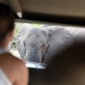 BWA NW Chobe 2016DEC04 NP 089 : 2016, 2016 - African Adventures, Africa, Botswana, Chobe National Park, Date, December, Month, Northwest, Places, Southern, Trips, Year