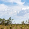 BWA NW Chobe 2016DEC04 NP 114 : 2016, 2016 - African Adventures, Africa, Botswana, Chobe National Park, Date, December, Month, Northwest, Places, Southern, Trips, Year