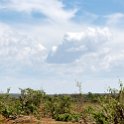 BWA NW Chobe 2016DEC04 NP 115 : 2016, 2016 - African Adventures, Africa, Botswana, Chobe National Park, Date, December, Month, Northwest, Places, Southern, Trips, Year
