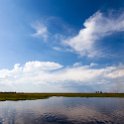 BWA NW Chobe 2016DEC04 River 054 : 2016, 2016 - African Adventures, Africa, Botswana, Chobe River, Date, December, Month, Northwest, Places, Southern, Trips, Year