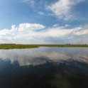 BWA NW Chobe 2016DEC04 River 055 : 2016, 2016 - African Adventures, Africa, Botswana, Chobe River, Date, December, Month, Northwest, Places, Southern, Trips, Year