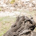 BWA NW Chobe 2016DEC04 River 074 : 2016, 2016 - African Adventures, Africa, Botswana, Chobe River, Date, December, Month, Northwest, Places, Southern, Trips, Year