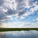 BWA NW Chobe 2016DEC04 River 077 : 2016, 2016 - African Adventures, Africa, Botswana, Chobe River, Date, December, Month, Northwest, Places, Southern, Trips, Year