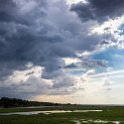 BWA NW Chobe 2016DEC04 River 079 : 2016, 2016 - African Adventures, Africa, Botswana, Chobe River, Date, December, Month, Northwest, Places, Southern, Trips, Year