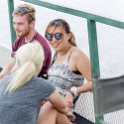 BWA NW Chobe 2016DEC04 River 101 : 2016, 2016 - African Adventures, Africa, Botswana, Chobe River, Date, December, Month, Northwest, Places, Southern, Trips, Year