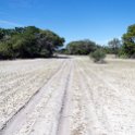 BWA NW OkavangoDelta 2016DEC01 Nguma 013 : 2016, 2016 - African Adventures, Africa, Botswana, Date, December, Month, Ngamiland, Nguma, Northwest, Okavango Delta, Places, Southern, Trips, Year