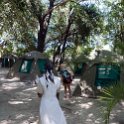 BWA NW OkavangoDelta 2016DEC01 Nguma 014 : 2016, 2016 - African Adventures, Africa, Botswana, Date, December, Month, Ngamiland, Nguma, Northwest, Okavango Delta, Places, Southern, Trips, Year