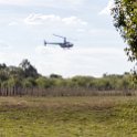BWA NW OkavangoDelta 2016DEC01 Nguma 023 : 2016, 2016 - African Adventures, Africa, Botswana, Date, December, Month, Ngamiland, Nguma, Northwest, Okavango Delta, Places, Southern, Trips, Year