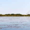 BWA NW OkavangoDelta 2016DEC01 Nguma 031 : 2016, 2016 - African Adventures, Africa, Botswana, Date, December, Month, Ngamiland, Nguma, Northwest, Okavango Delta, Places, Southern, Trips, Year