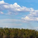 BWA NW OkavangoDelta 2016DEC01 Nguma 040 : 2016, 2016 - African Adventures, Africa, Botswana, Date, December, Month, Ngamiland, Nguma, Northwest, Okavango Delta, Places, Southern, Trips, Year