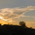 BWA NW OkavangoDelta 2016DEC01 Nguma 062 : 2016, 2016 - African Adventures, Africa, Botswana, Date, December, Month, Ngamiland, Nguma, Northwest, Okavango Delta, Places, Southern, Trips, Year