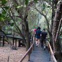 BWA NW OkavangoDelta 2016DEC01 Nguma 089 : 2016, 2016 - African Adventures, Africa, Botswana, Date, December, Month, Ngamiland, Nguma, Northwest, Okavango Delta, Places, Southern, Trips, Year
