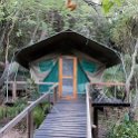 BWA NW OkavangoDelta 2016DEC01 Nguma 090 : 2016, 2016 - African Adventures, Africa, Botswana, Date, December, Month, Ngamiland, Nguma, Northwest, Okavango Delta, Places, Southern, Trips, Year