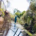 BWA NW OkavangoDelta 2016DEC02 Mokoro 012 : 2016, 2016 - African Adventures, Africa, Botswana, Date, December, Mokoro Base Camp, Month, Northwest, Okavango Delta, Places, Southern, Trips, Year