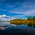 BWA NW OkavangoDelta 2016DEC02 Nguma 004 : 2016, 2016 - African Adventures, Africa, Botswana, Date, December, Month, Ngamiland, Nguma, Northwest, Okavango Delta, Places, Southern, Trips, Year