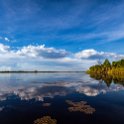 BWA NW OkavangoDelta 2016DEC02 Nguma 005 : 2016, 2016 - African Adventures, Africa, Botswana, Date, December, Month, Ngamiland, Nguma, Northwest, Okavango Delta, Places, Southern, Trips, Year