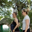 BWA NW OkavangoDelta 2016DEC02 Nguma 011 : 2016, 2016 - African Adventures, Africa, Botswana, Date, December, Month, Ngamiland, Nguma, Northwest, Okavango Delta, Places, Southern, Trips, Year