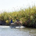 BWA NW OkavangoDelta 2016DEC02 Nguma 016 : 2016, 2016 - African Adventures, Africa, Botswana, Date, December, Month, Ngamiland, Nguma, Northwest, Okavango Delta, Places, Southern, Trips, Year