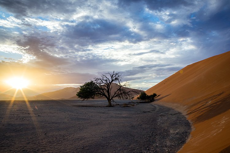 NAM HAR Dune45 2016NOV21 042