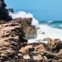 ZAF WC CapePoint 2016NOV14 CapeOfGoodHope 007 : 2016, 2016 - African Adventures, Africa, November, South Africa, Southern, Western Cape, Cape Point, Cape Peninsula, Cape Town, Cape Of Good Hope