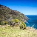 ZAF WC HoutBay 2016NOV14 ChapmansPeakLookout 001 : 2016, 2016 - African Adventures, Africa, November, South Africa, Southern, Western Cape, Hout Bay, Cape Town, Chapmans Peak Lookout