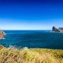 ZAF WC HoutBay 2016NOV14 ChapmansPeakLookout 005 : 2016, 2016 - African Adventures, Africa, November, South Africa, Southern, Western Cape, Hout Bay, Cape Town, Chapmans Peak Lookout