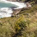 ZAF WC HoutBay 2016NOV14 ChapmansPeakLookout 007 : 2016, 2016 - African Adventures, Africa, November, South Africa, Southern, Western Cape, Hout Bay, Cape Town, Chapmans Peak Lookout