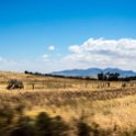 ZAF WC CW Paarl 2016NOV17 SpiceRoute 001 : 2016, 2016 - African Adventures, Africa, November, South Africa, Southern, Western Cape, Paarl, Cape Winelands, Spice Route