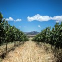 ZAF WC CW Paarl 2016NOV17 SpiceRoute 012 : 2016, 2016 - African Adventures, Africa, November, South Africa, Southern, Western Cape, Paarl, Cape Winelands, Spice Route