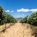 ZAF WC CW Paarl 2016NOV17 SpiceRoute 013 : 2016, 2016 - African Adventures, Africa, November, South Africa, Southern, Western Cape, Paarl, Cape Winelands, Spice Route
