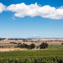 ZAF WC CW Paarl 2016NOV17 SpiceRoute 016 : 2016, 2016 - African Adventures, Africa, November, South Africa, Southern, Western Cape, Paarl, Cape Winelands, Spice Route