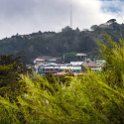 CRI PUN Monteverde 2019MAY13 006 : - DATE, - PLACES, - TRIPS, 10's, 2019, 2019 - Taco's & Toucan's, Americas, Central America, Costa Rica, Day, Hotel los Jardines, May, Monday, Monteverde, Month, Puntarenas, Year