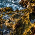 HND IDLB Roatan WestEnd 2019MAY08 Seagrape 007 : - DATE, - PLACES, - TRIPS, 10's, 2019, 2019 - Taco's & Toucan's, Americas, Central America, Day, Honduras, Islas de la Bahía, May, Month, Roatán, Seagrape Plantation Resort, Wednesday, West End, West End Village, Year