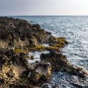 HND IDLB Roatan WestEnd 2019MAY08 Seagrape 011 : - DATE, - PLACES, - TRIPS, 10's, 2019, 2019 - Taco's & Toucan's, Americas, Central America, Day, Honduras, Islas de la Bahía, May, Month, Roatán, Seagrape Plantation Resort, Wednesday, West End, West End Village, Year