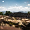 MEX MEX Teotihuacan 2019APR01 Piramides 043 : - DATE, - PLACES, - TRIPS, 10's, 2019, 2019 - Taco's & Toucan's, Americas, April, Central, Day, Mexico, Monday, Month, México, North America, Pirámides de Teotihuacán, Teotihuacán, Year