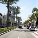 USA CA BeverlyHills 2005MAY03 005  One thing I found out on this trip was there are no native palm trees in California. : 2005, 2005 - Pasadena, Americas, Beverly Hills, California, Date, May, Month, North America, Places, Trips, USA, Year