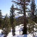 USA CA BlueLakes 2004JAN31 027 : 2004, 2004 - Tahoe Superbowl Trip, Americas, Blue Lakes, California, January, Lake Tahoe, Month, North America, USA