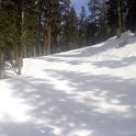USA CA SierraAtTahoe 2005FEB04 060 : 2005, 2005 - Tahoe Superbowl Trip, Americas, California, Date, February, Lake Tahoe, Month, North America, Places, Sierra At Tahoe, Trips, USA, Year