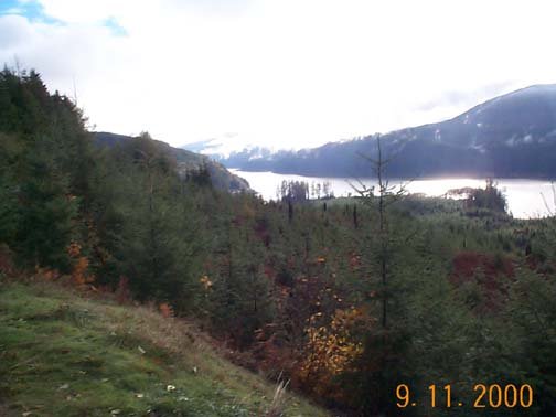 USA WA SpiritLake 2000NOV09 005