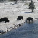 2004NOV01 - Firehole River