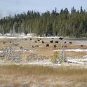USA WY YellowstoneNP 2004NOV01 OldFaithful 034 : 2004, 2004 - Yellowstone Travels, Americas, National Park, North America, November, Old Faithful, USA, Wyoming, Yellowstone