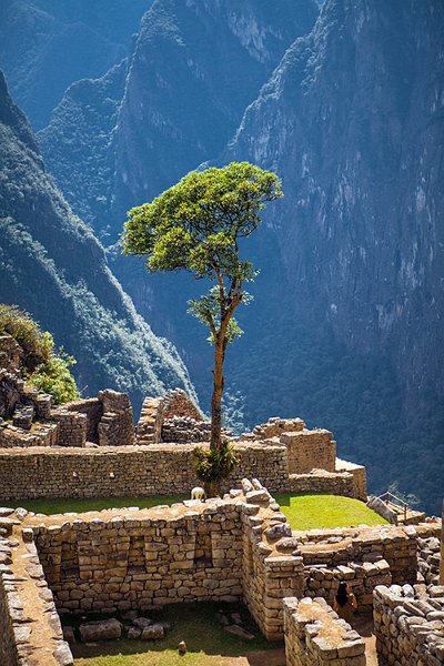 PER CUZ MachuPicchu 2014SEPT15 079
