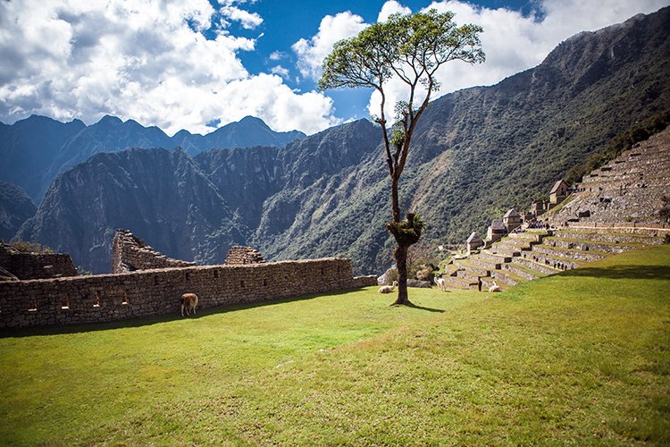 PER CUZ MachuPicchu 2014SEPT15 101