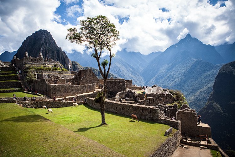 PER CUZ MachuPicchu 2014SEPT15 111