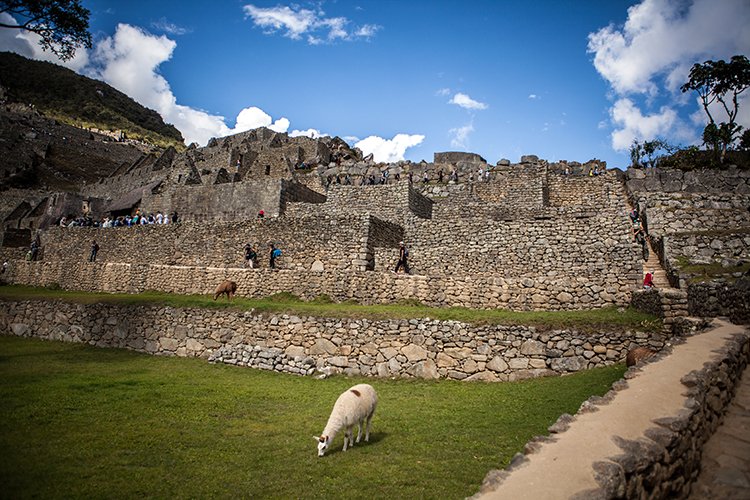 PER CUZ MachuPicchu 2014SEPT15 112